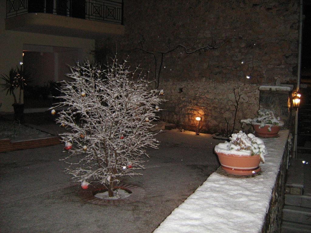 Filoxenia Apartment Levidhion Bagian luar foto