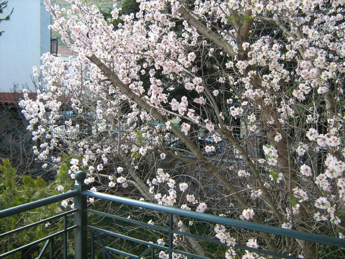 Filoxenia Apartment Levidhion Bagian luar foto
